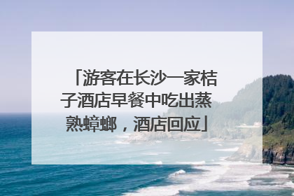 游客在长沙一家桔子酒店早餐中吃出蒸熟蟑螂，酒店回应